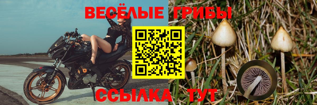 Керчь  Галлюциногенные грибы Magic Shrooms  Вход с VPN  Псилоцибиновые грибы мицелий 